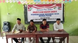 Dinilai Sarat Kepentingan Pribadi, Pembentukan KMP Desa Malintang Perlu Dikaji Ulang